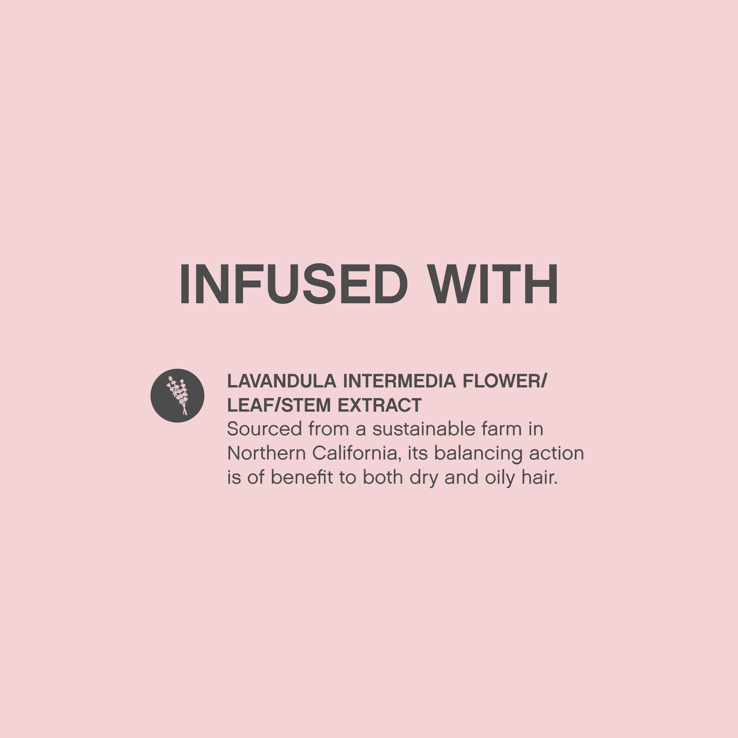 KEVIN.MURPHY ANTI.GRAVITY texture application close-up defining volume