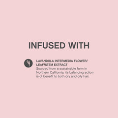 KEVIN.MURPHY ANTI.GRAVITY texture application close-up defining volume