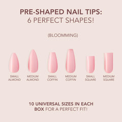 Six distinctive shapes support precise Pink and White French nails