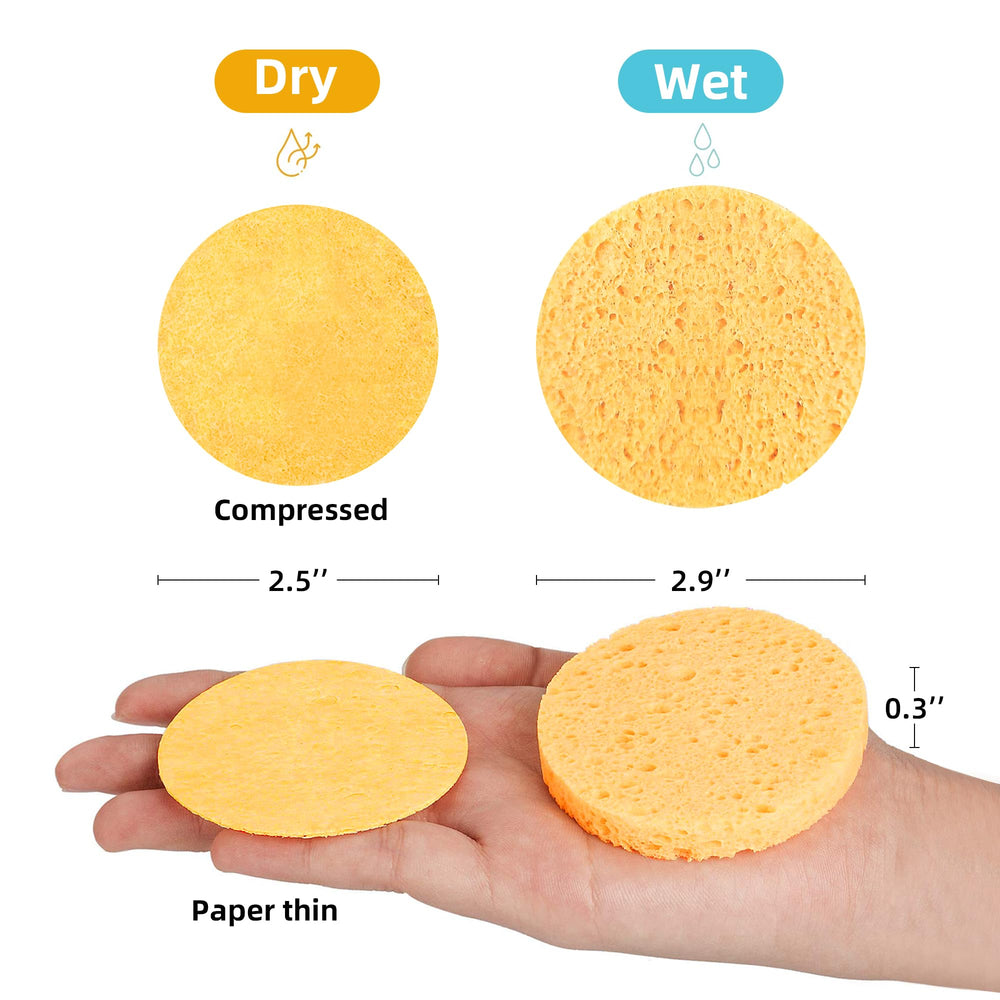 Kickleen expanded round facial sponge showing water absorption for softer cleansing.