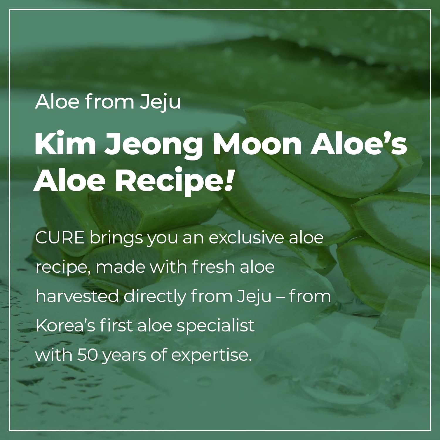 Kim Jeong Moon Aloe Foam Cleanser daily-use bottle suitable for all skin types