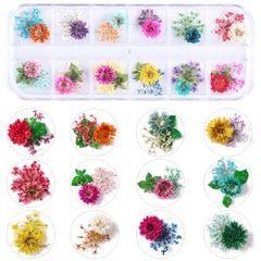 KISSBUTY 24-color dried flowers palette for versatile nail art ideas.