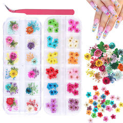 KISSBUTY gypsophila petals close-up for delicate nail art on natural nails.