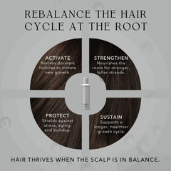 KIWABI Root Beaute color-treated hair with gentle daily care