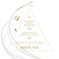 KORRES White Tea soft musk base creates lasting comfort close to the skin.