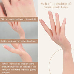 KUMIHO silicone hand with skeleton enables natural posing for displays.