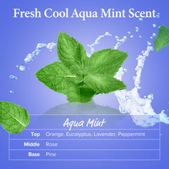 Ingredients list of KUNDAL Aqua Mint Shampoo highlights plant extracts