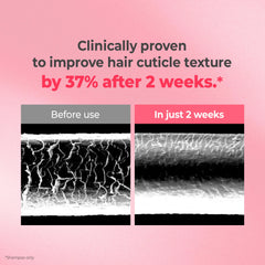 KUNDAL Bonding technology graphic explains strengthening and sealing action for healthier hair.