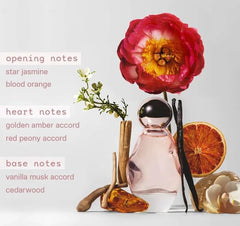 KYLIE Cosmic bottle on vanity highlights ambery floral vibe for daily wear.