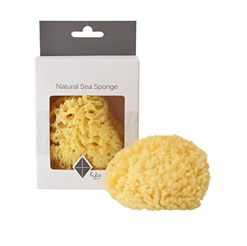 Kyte Baby sea sponge detail highlighting mineral-rich surface for skin-friendly use
