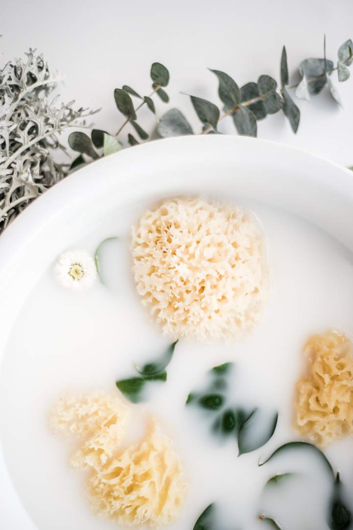 Kyte Baby hypoallergenic sea sponge with renewable resources for everyday routines