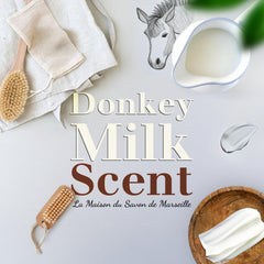 La Maison du Savon de Marseille Provence-crafted soap bar made in France.
