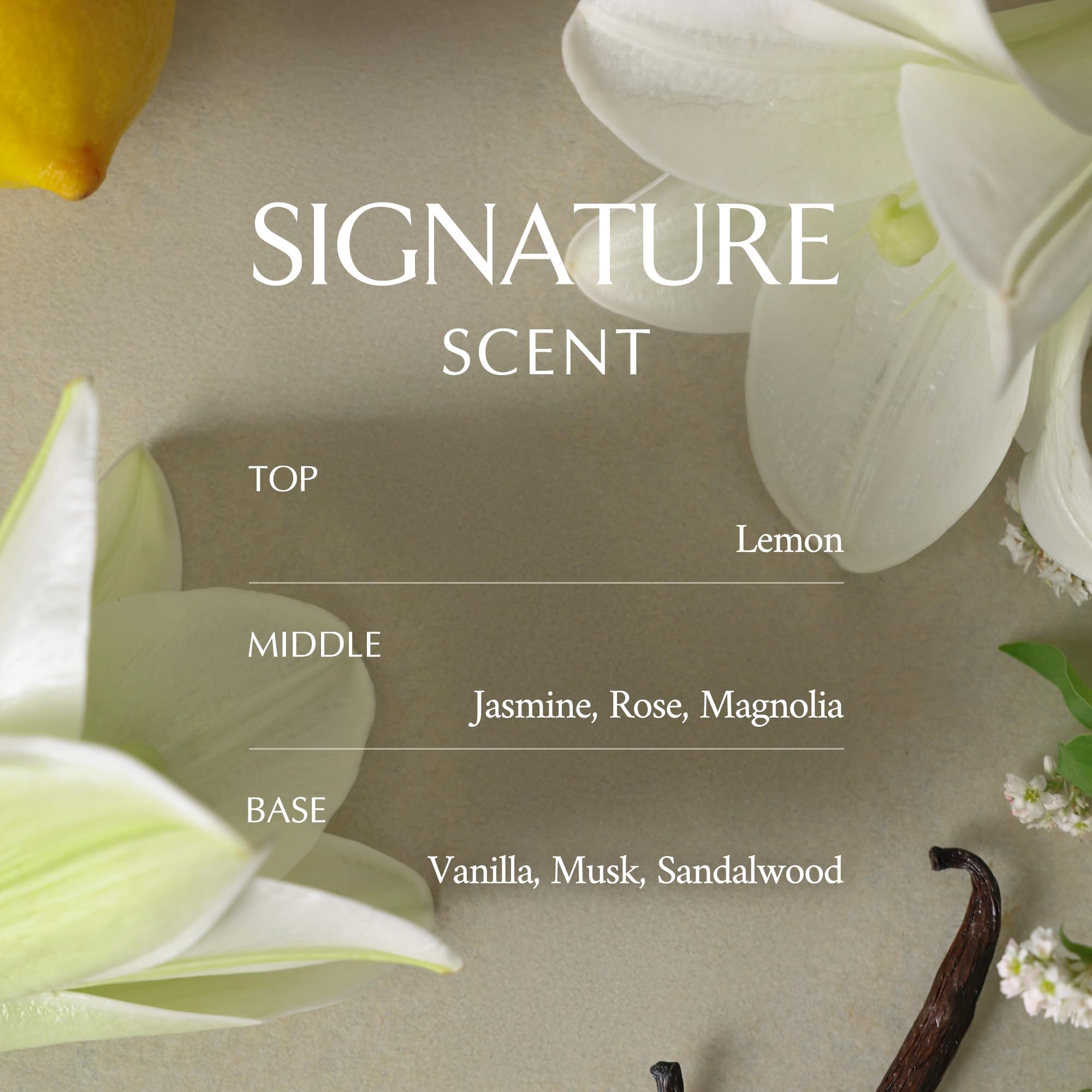 LA MUSE apricot kernel oil drops illustrate lightweight moisturization