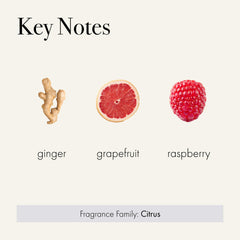 LAFCO New York Champagne fragrance layering image conveys vibrant, multi-note aroma for ambience.