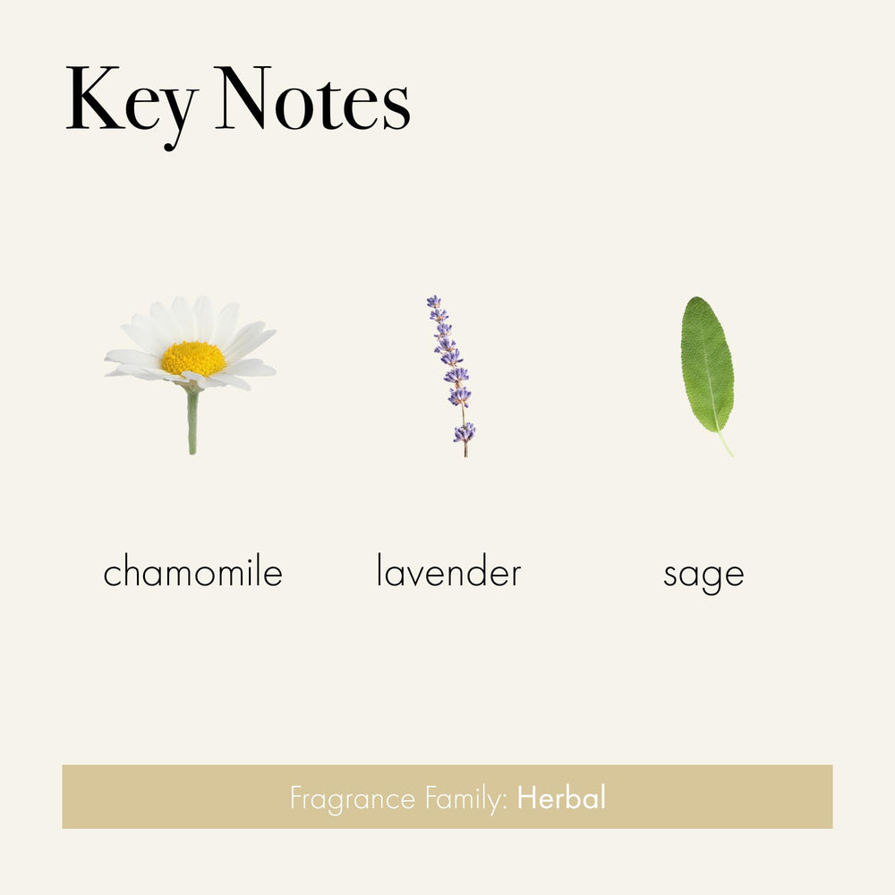 LAFCO New York bar soap in use with rich lather for a relaxing cleanse