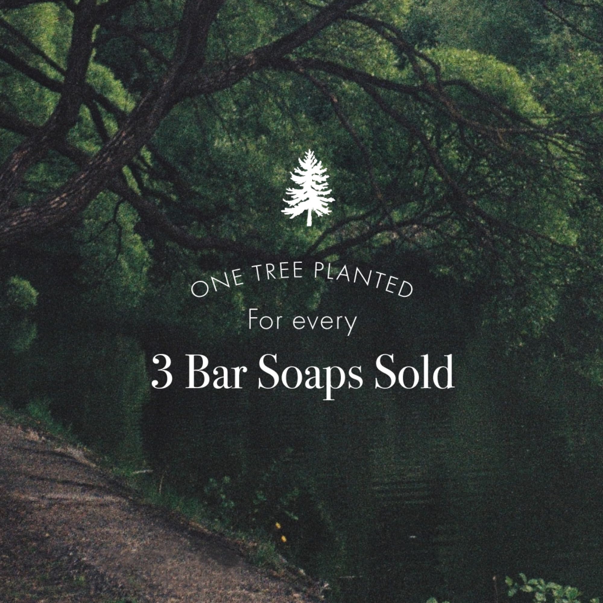 LAFCO Retreat bar soap dry-aged formula for dense, quick-drying bars