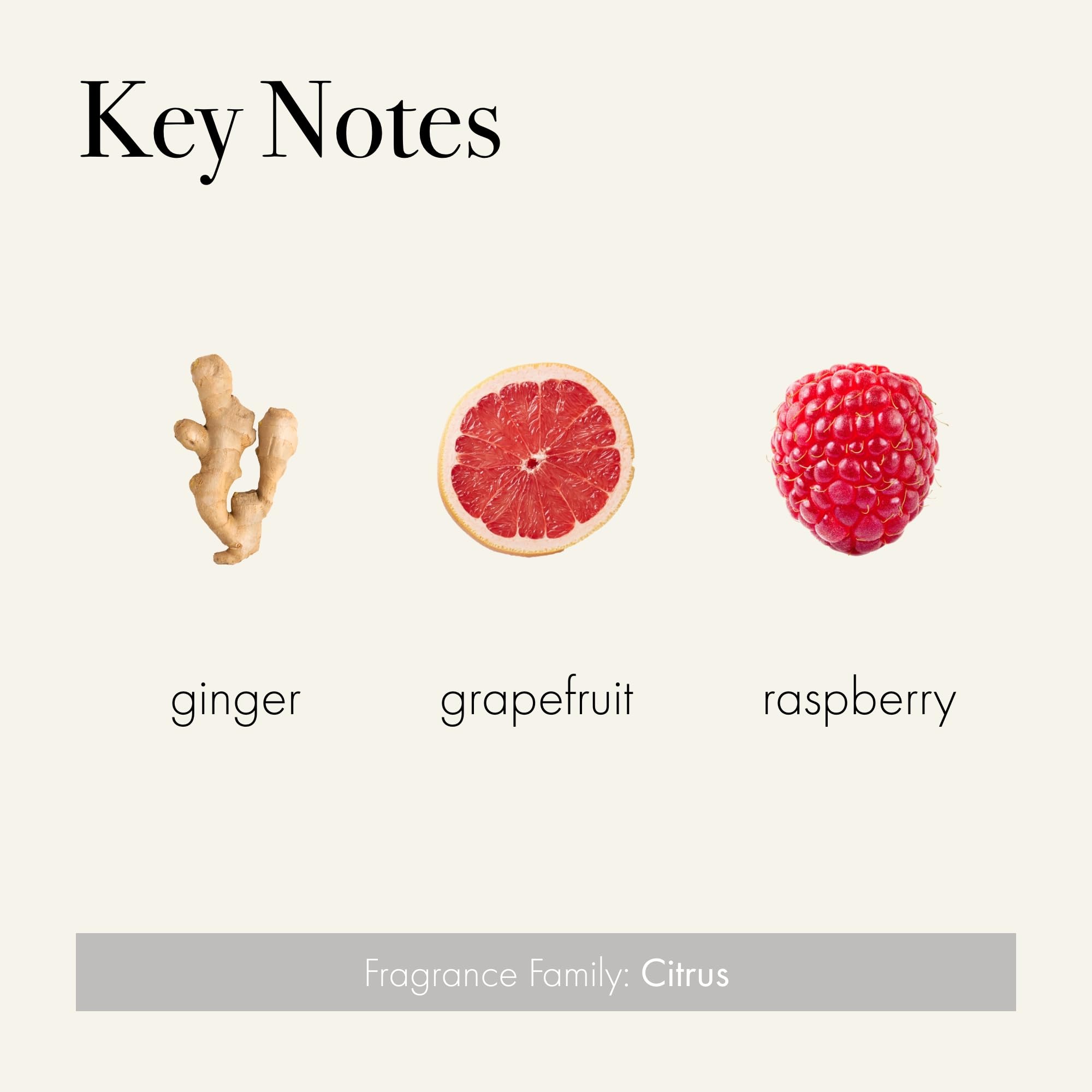 Packaging of LAFCO New York Champagne Hand Cream on display