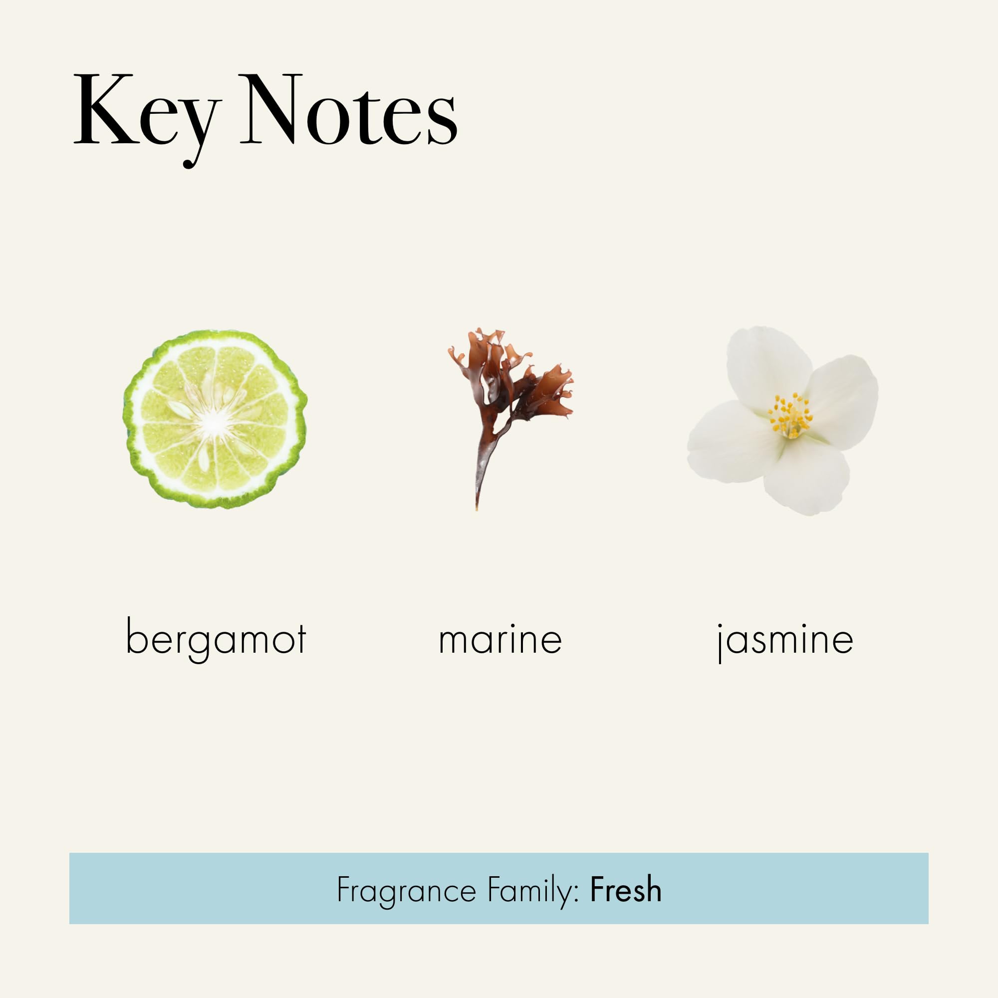 Olive oil and argan oil blend highlights natural hydration.