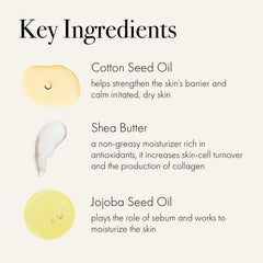 Applying LAFCO Marine hand cream to experience fast-absorbing hydration
