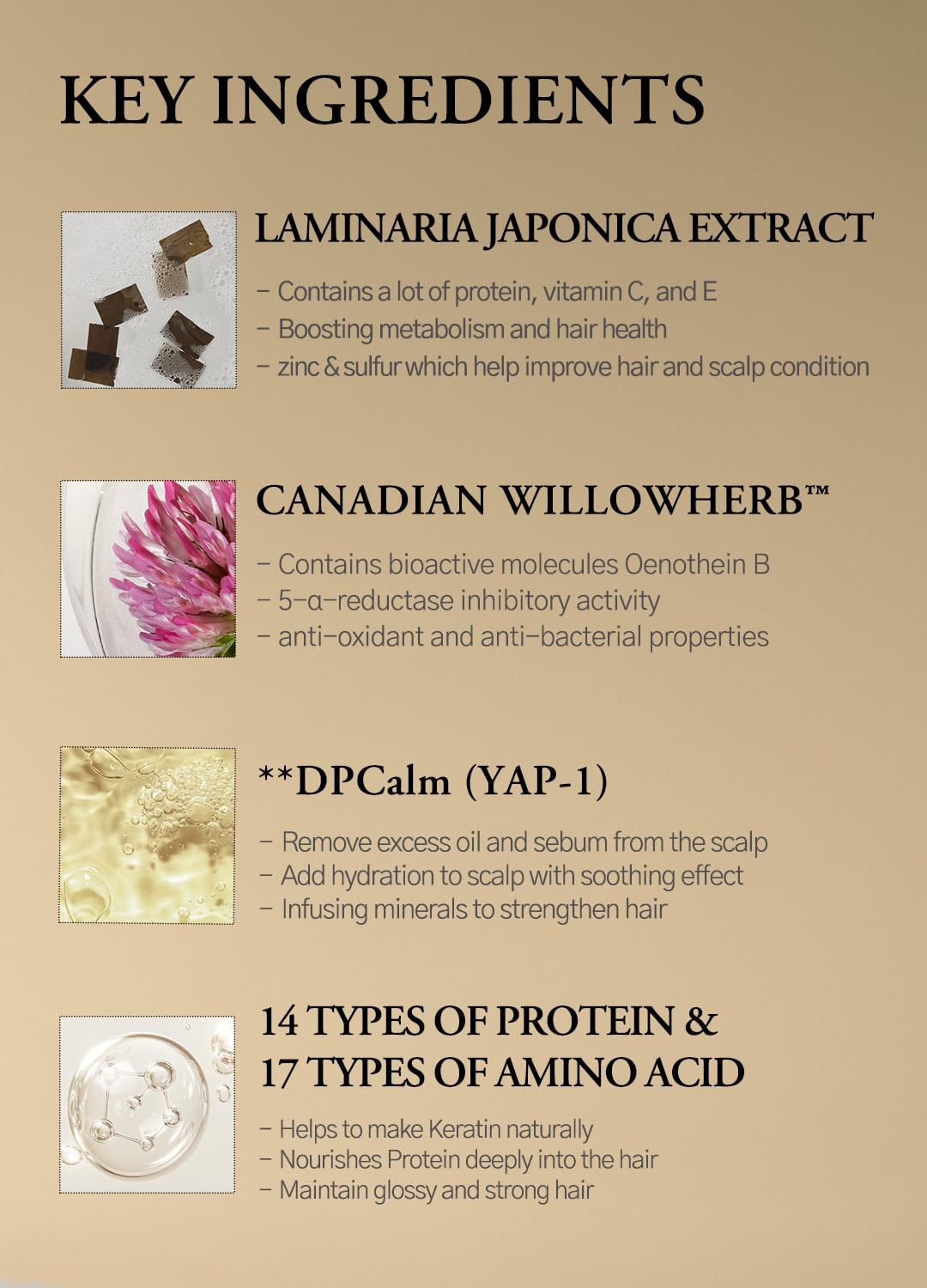 Laferme Laminaria Shampoo organic ingredients illustration emphasizes natural care.