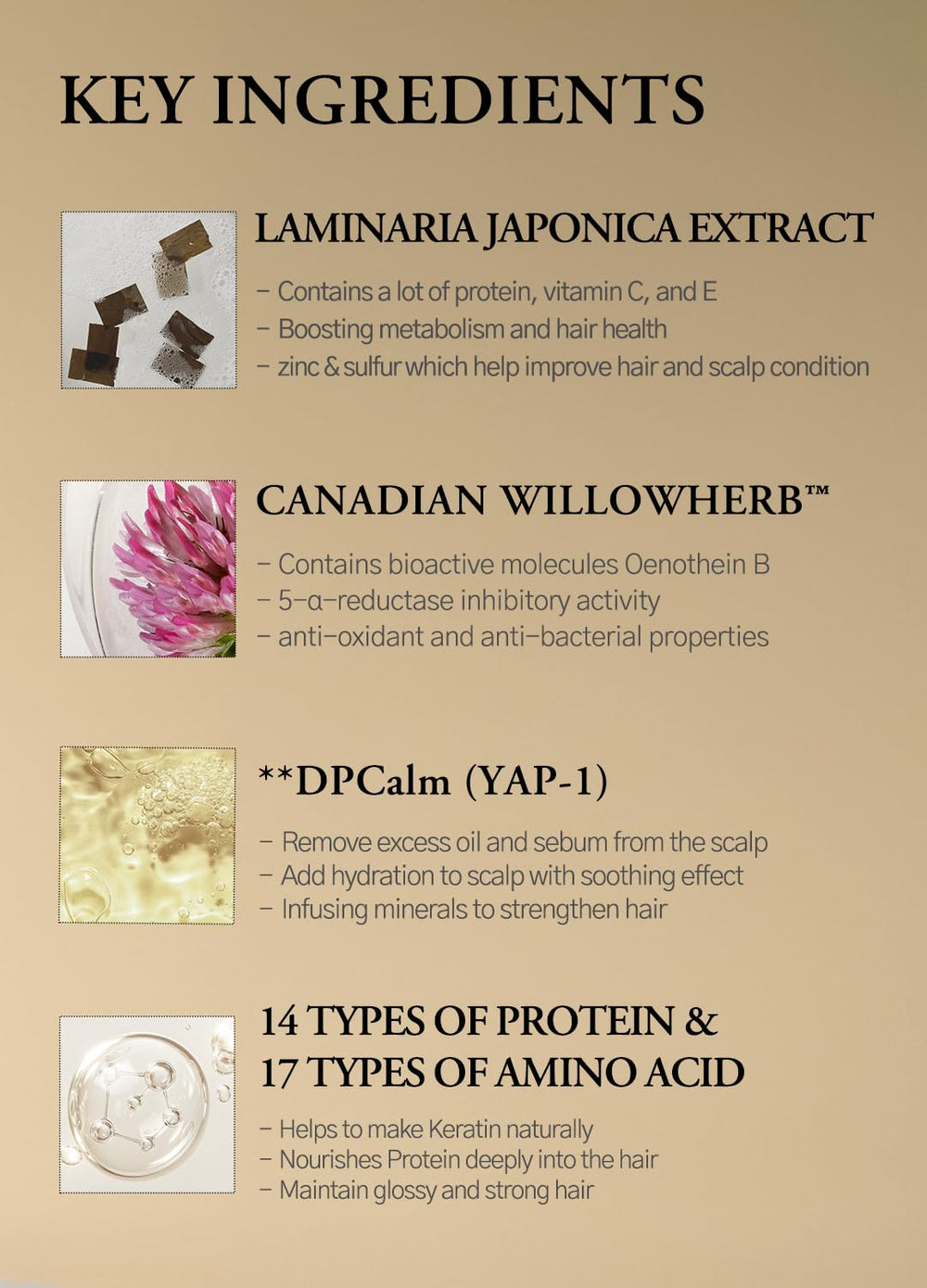 Laferme Laminaria Shampoo organic ingredients illustration emphasizes natural care.