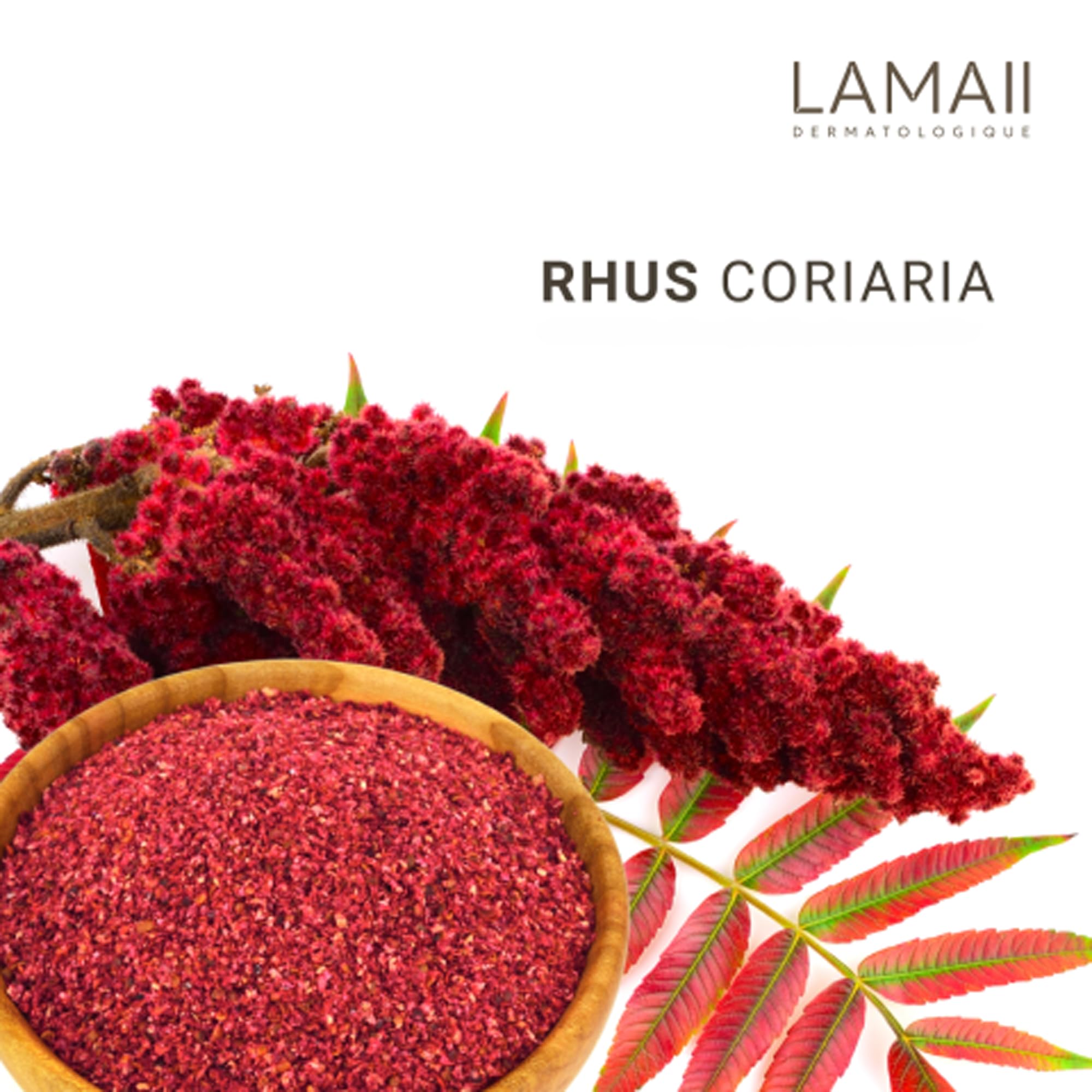 LAMAII Silky Moisturizing Soft Cream ingredients highlight Larvogen and Caviar Oil
