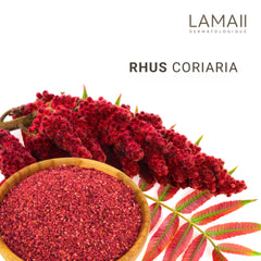 LAMAII Silky Moisturizing Soft Cream ingredients highlight Larvogen and Caviar Oil
