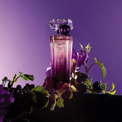 Lancôme Trésor Midnight bottle highlighting raspberry and blackcurrant notes.