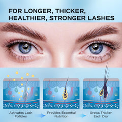 LashRay precision applicator close-up showing easy, eyeliner-like daily use.