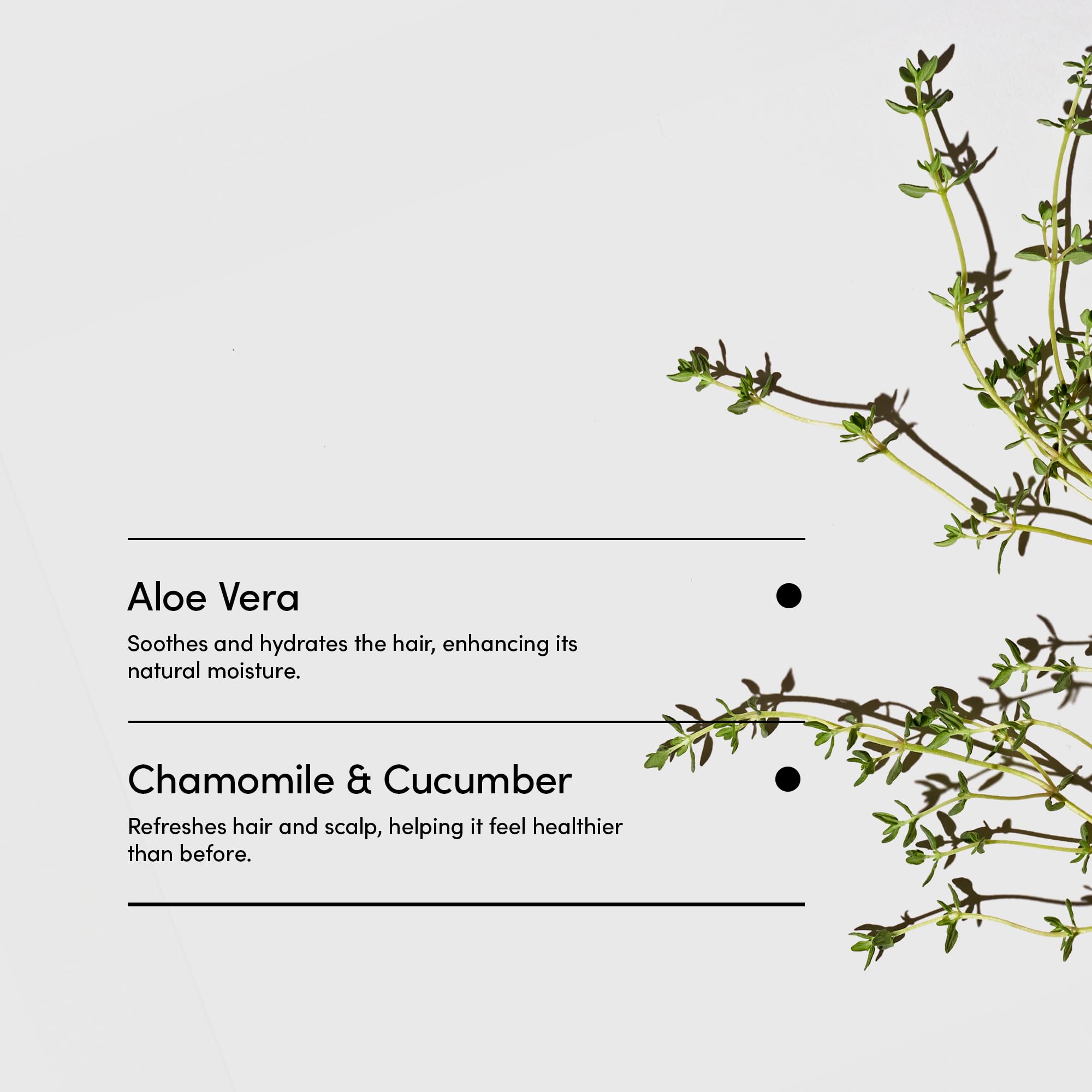 LATHER Mint Thyme Hair Wash hair-soft after wash nourishes with natural emollients.