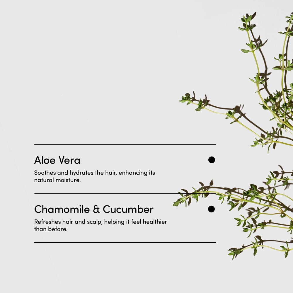 LATHER Mint Thyme Hair Wash hair-soft after wash nourishes with natural emollients.