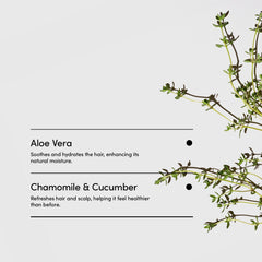 LATHER Mint Thyme Hair Wash hair-soft after wash nourishes with natural emollients.
