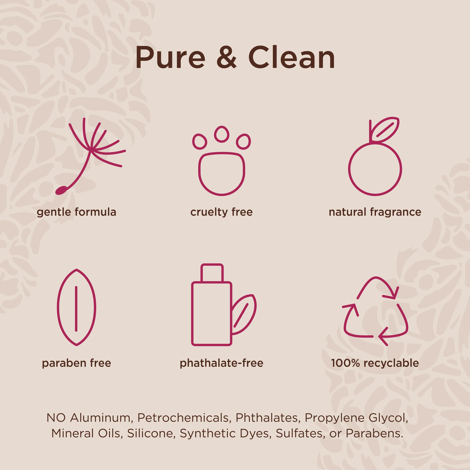 Lavanila Pure Vanilla set packaging shot emphasizes gift-ready, clean fragrance experience.