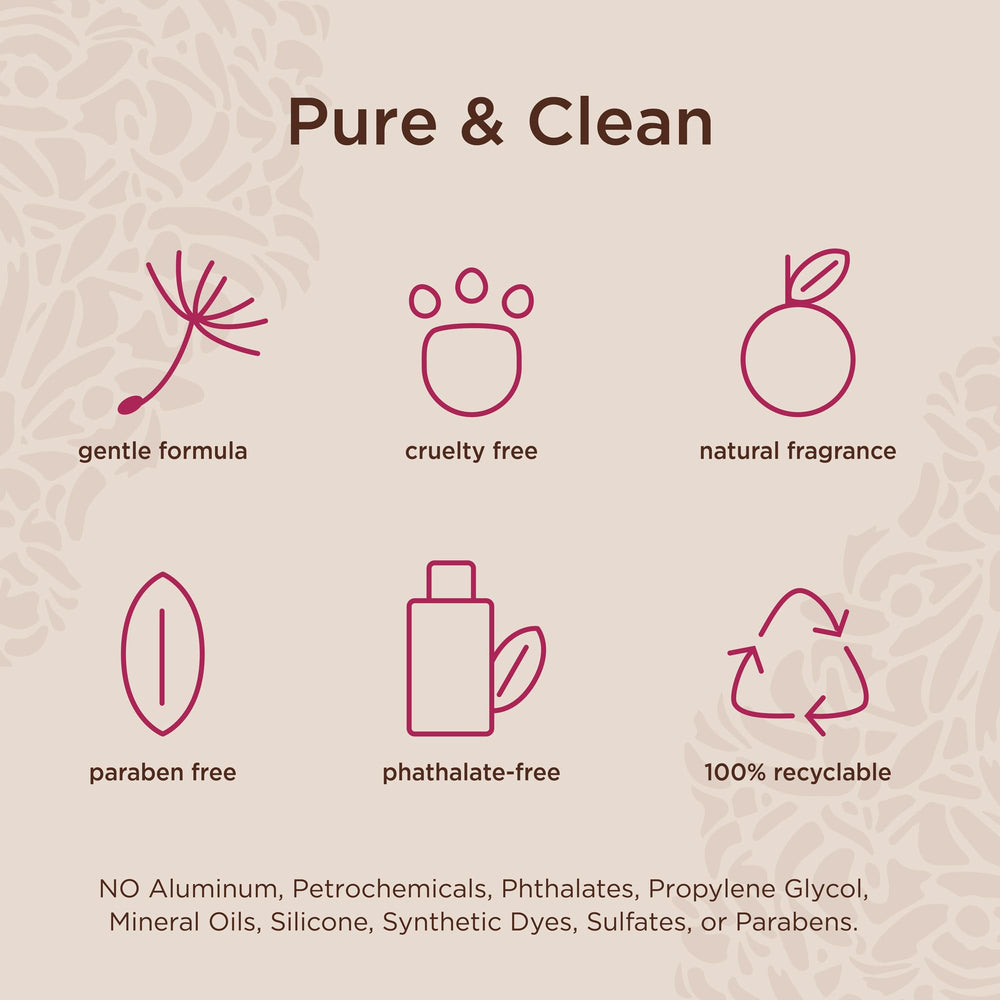 Lavanila Pure Vanilla set packaging shot emphasizes gift-ready, clean fragrance experience.