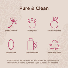 Lavanila Pure Vanilla set packaging shot emphasizes gift-ready, clean fragrance experience.