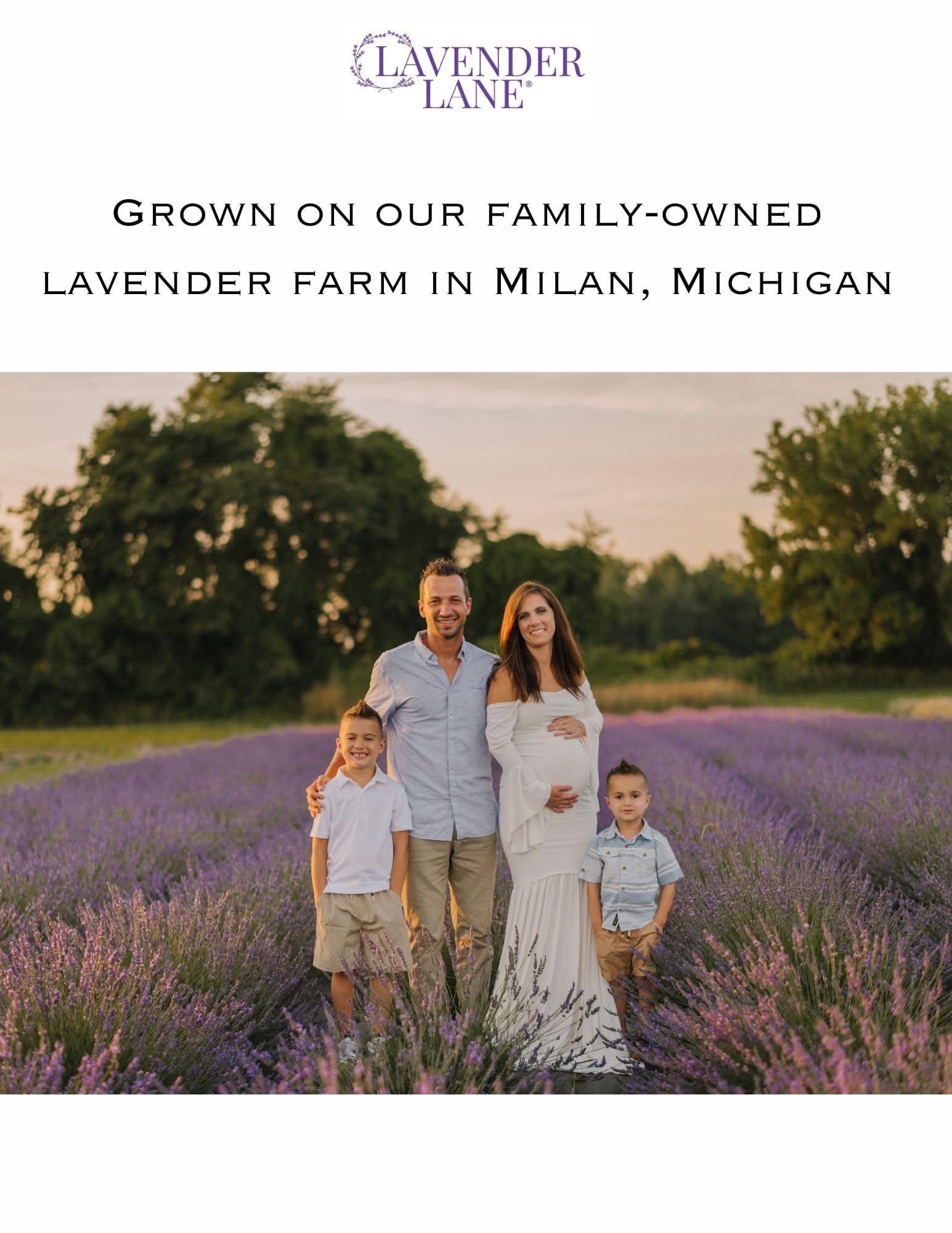 Lavender Lane goats milk lotion label featuring lavender oil and shea butter for nourished skin.