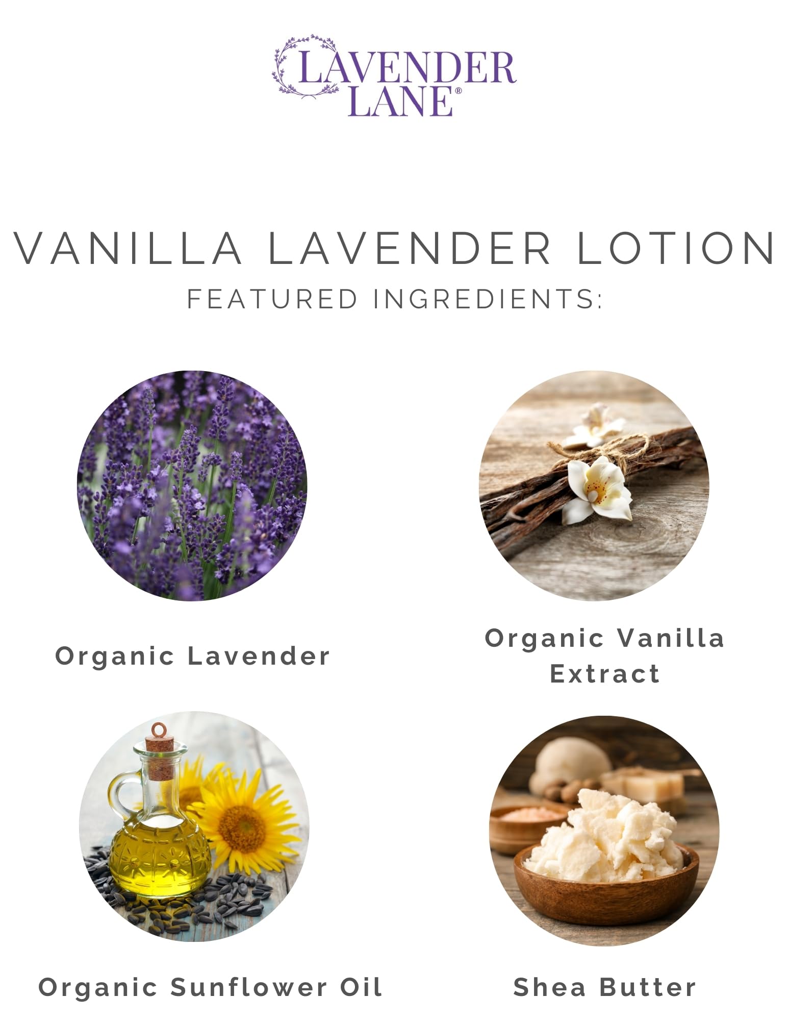 Lavender Lane lotion texture close-up showing smooth, rich moisturization.