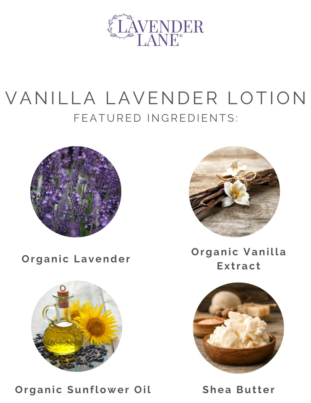 Lavender Lane lotion texture close-up showing smooth, rich moisturization.