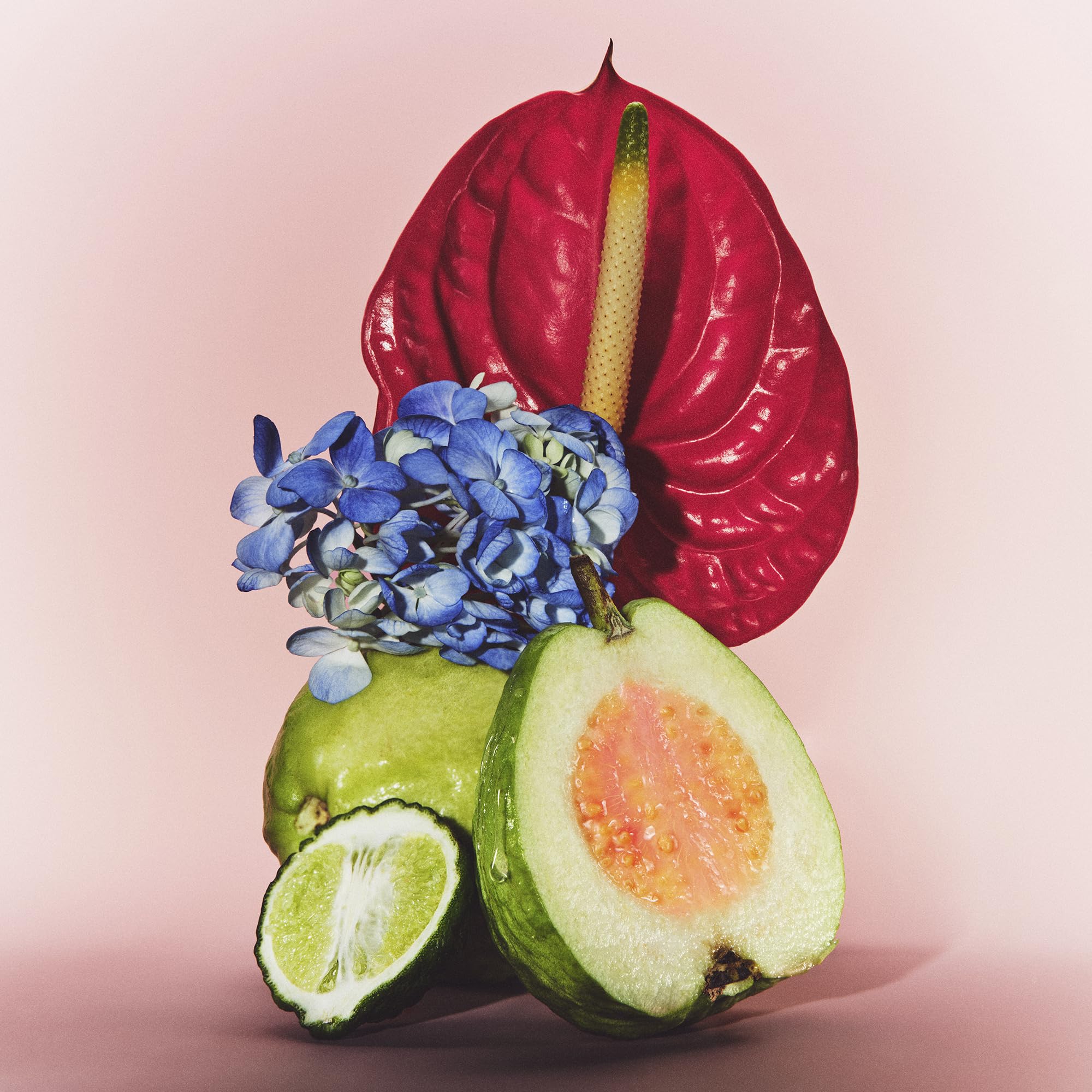 Le Monde Gourmand The de Goyave vegan and cruelty-free label