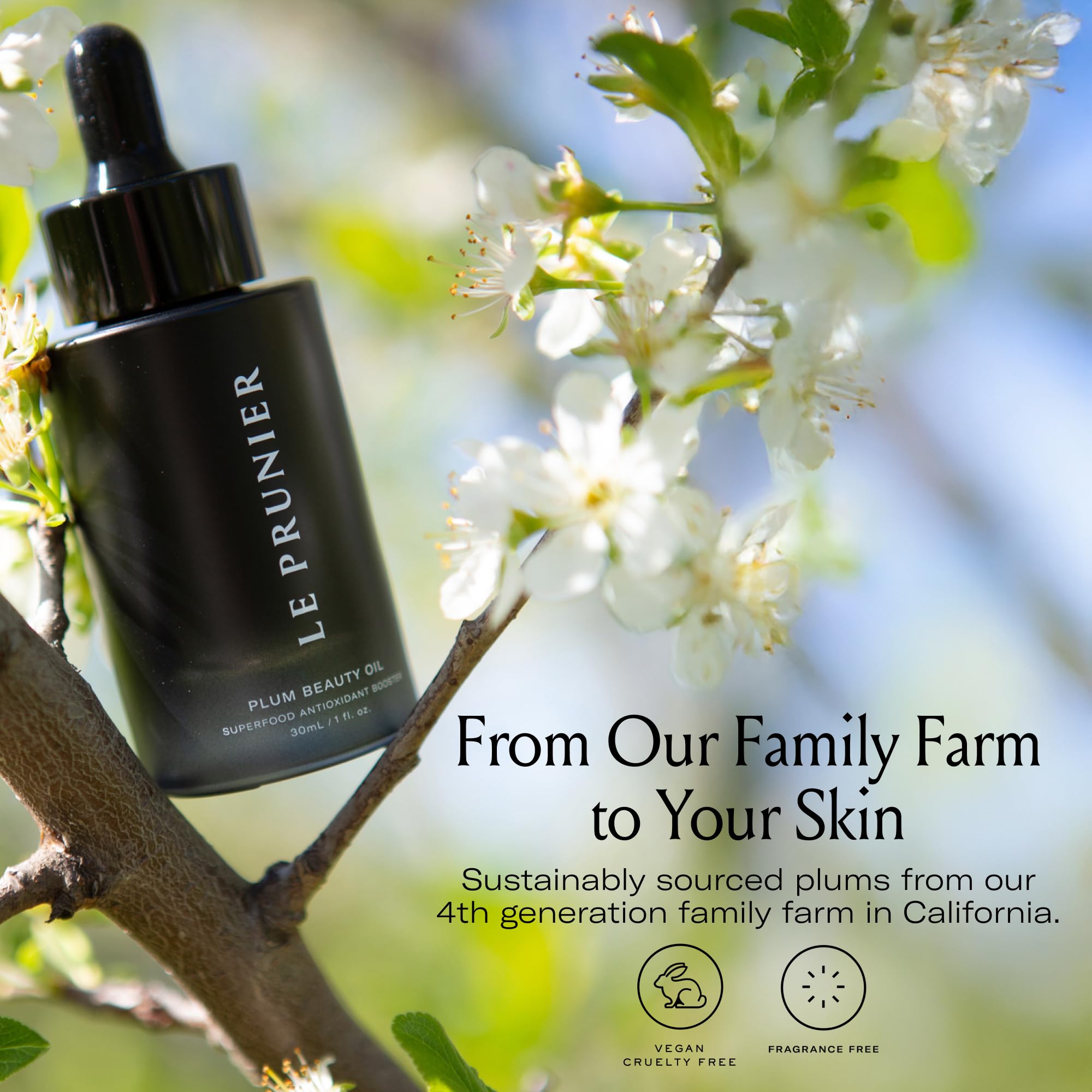Le Prunier Plum Beauty Oil glass jar signals premium skincare ingredients.