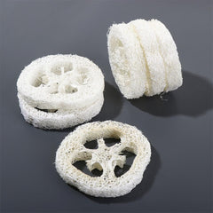 Leadigol loofah slice ideal for dishwashing and kitchen scrubbing