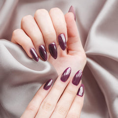 Lechat Antonella high gloss finish enhances nails with radiant shine.