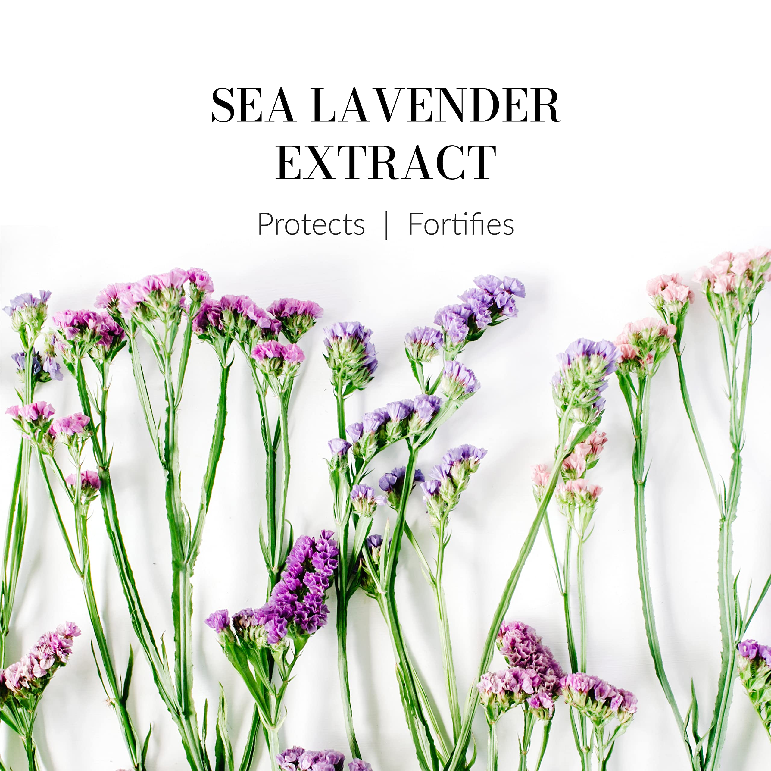 Leonor Greyl Reviviscence travel-size packaging shows TSA-friendly dimensions.