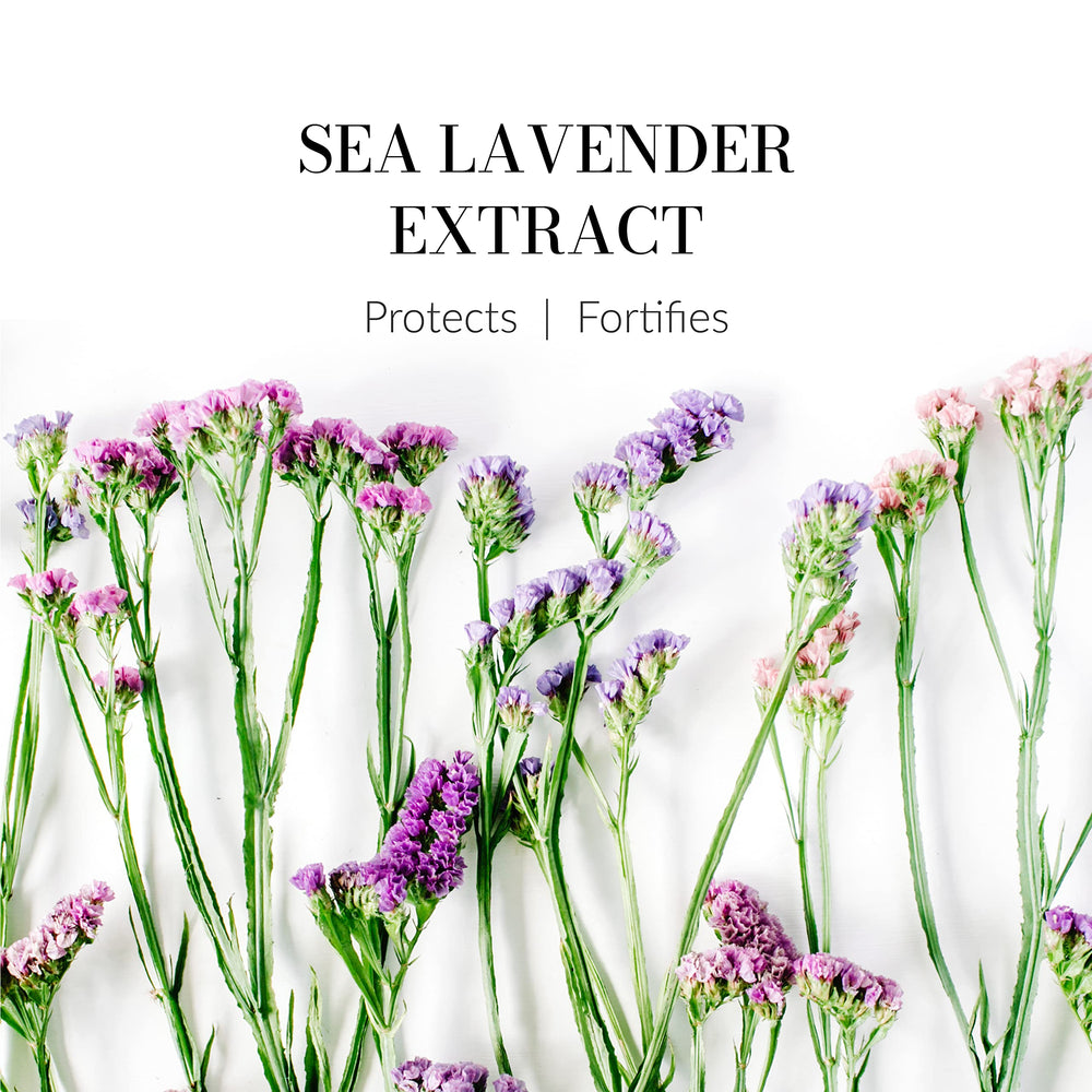 Leonor Greyl Reviviscence travel-size packaging shows TSA-friendly dimensions.