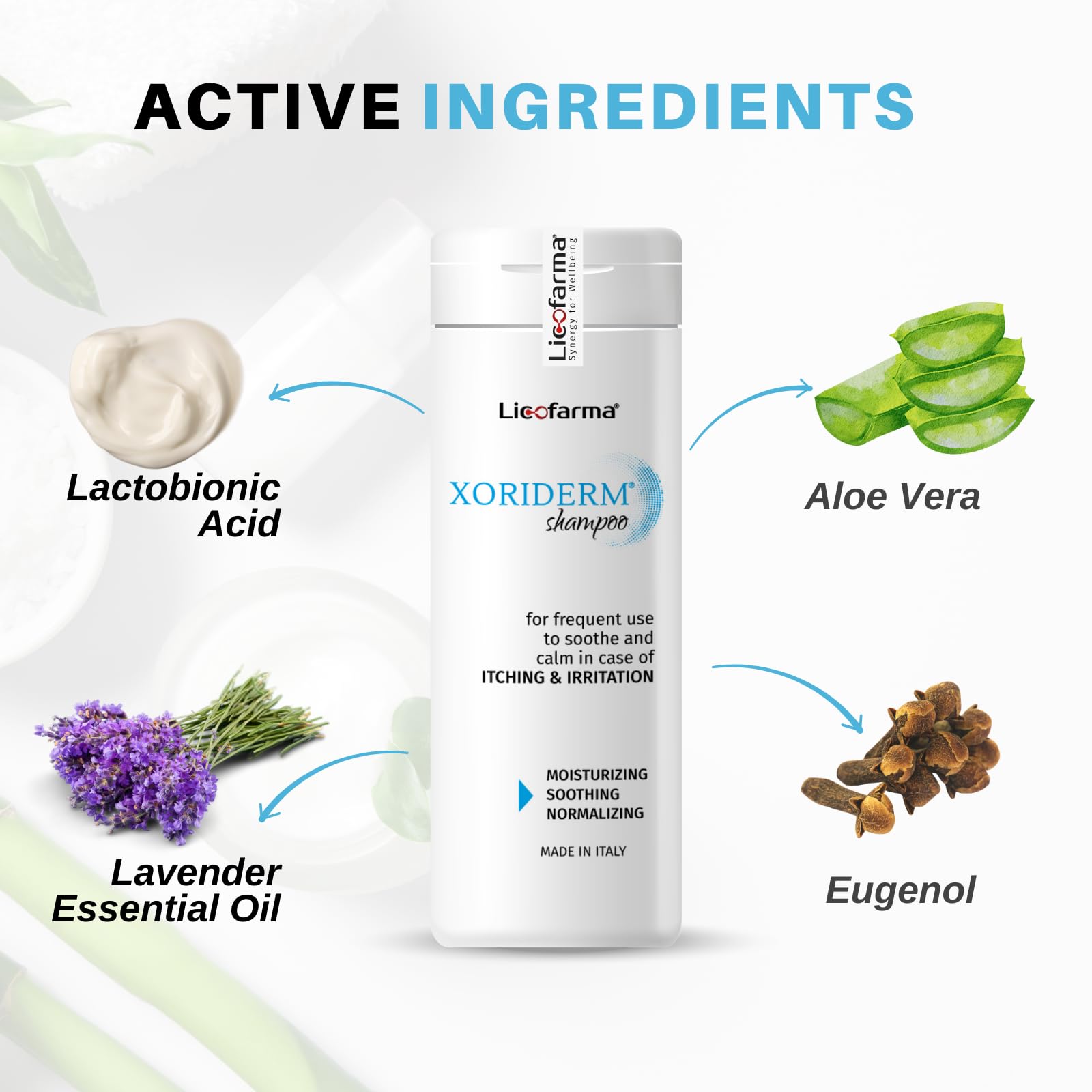 Licofarma Xoriderm Shampoo packaging highlights Made in Italy quality.