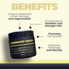 Lina Zapata LZ Maca Hair Treatment application steps visual guide.