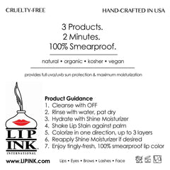 Lip Ink Color Chart with instructions guides shade selection and use.