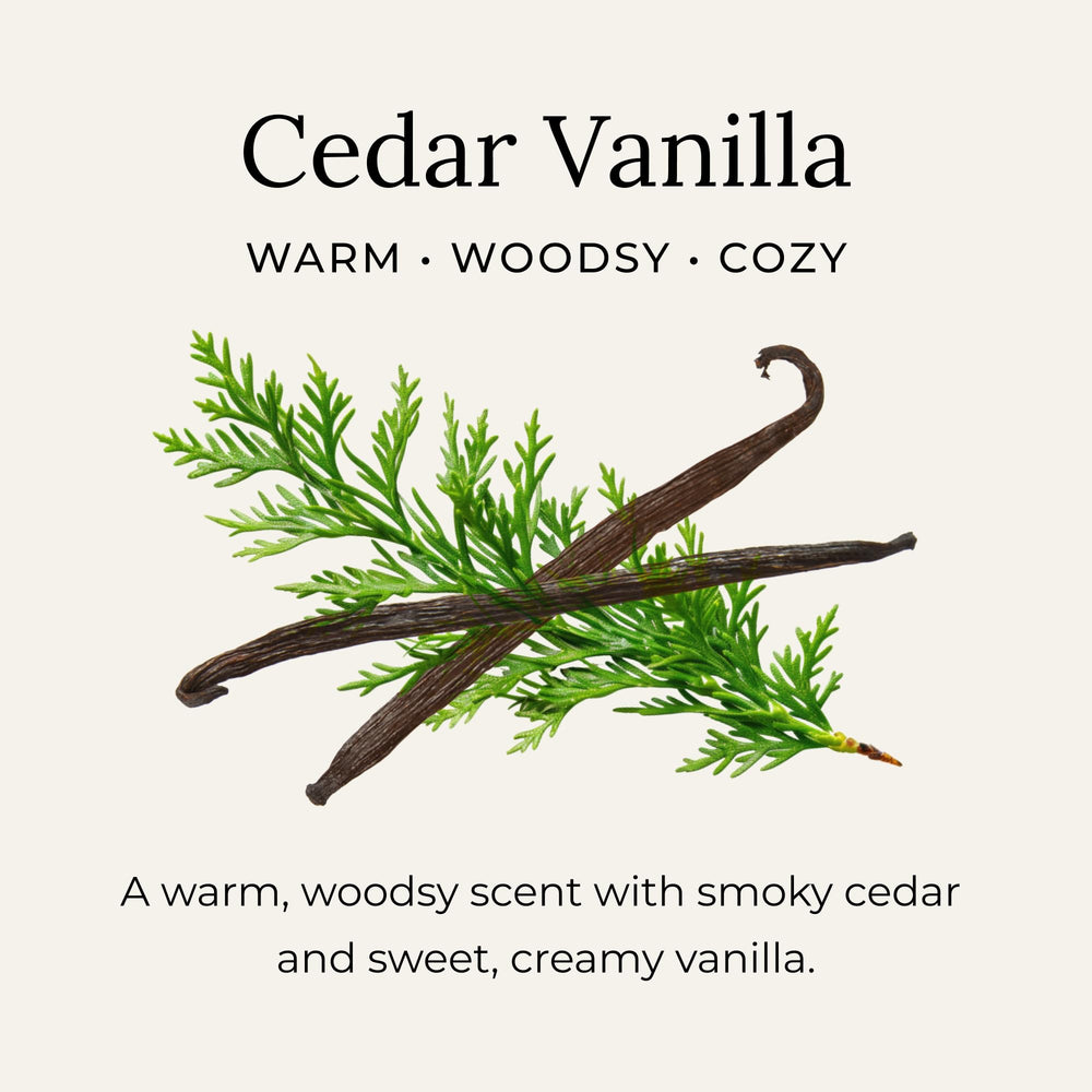 Creamy, silky paste of Little Seed Farm Cedar Vanilla deodorant shown up close.