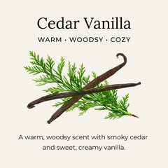 Creamy, silky paste of Little Seed Farm Cedar Vanilla deodorant shown up close.