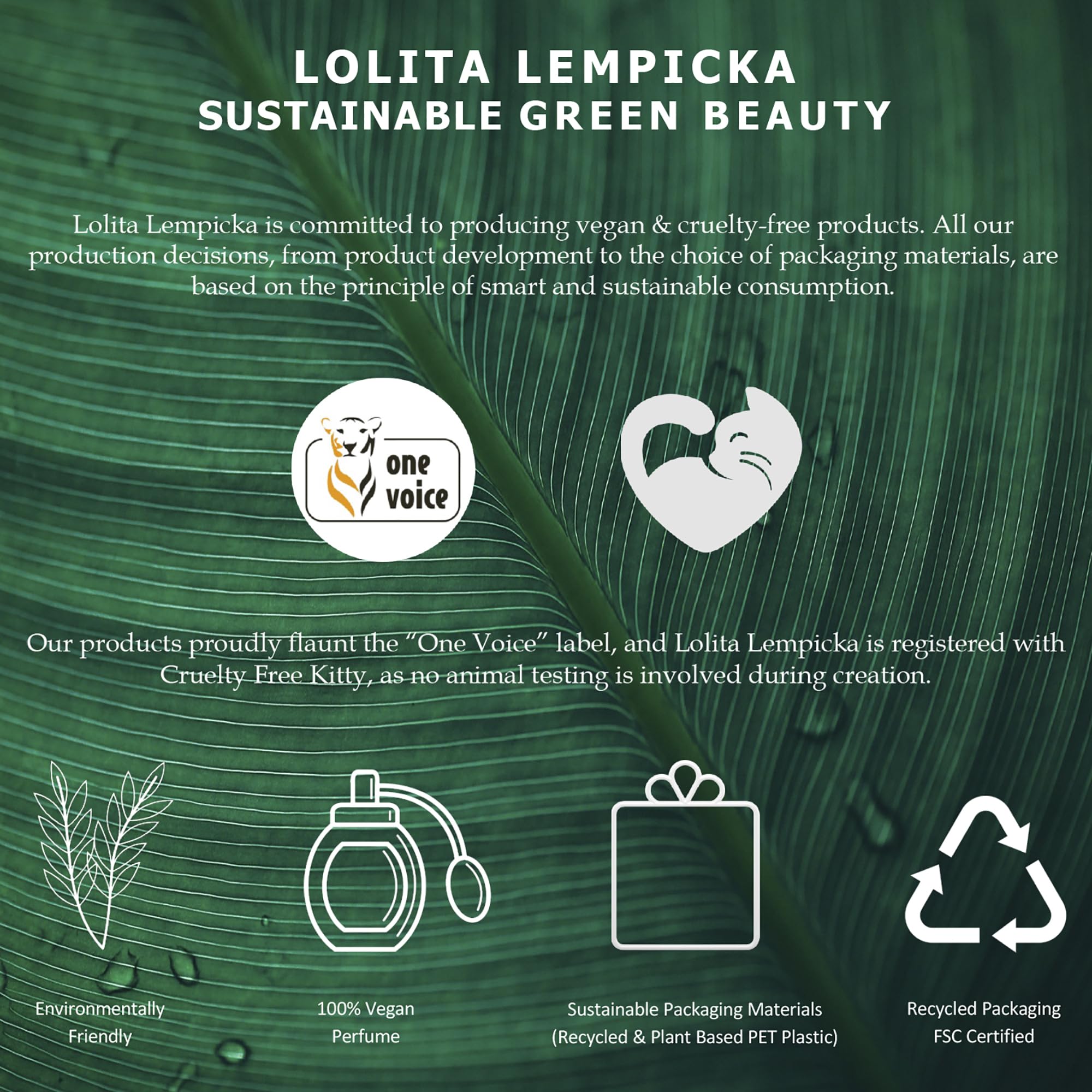 Lolita Lempicka gift set on display, ready for gifting on special occasions.